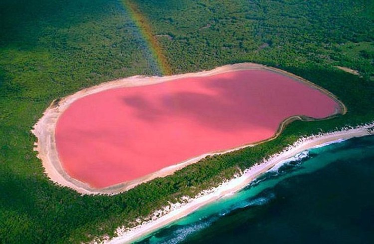 Pink Lake Hillier, Australia